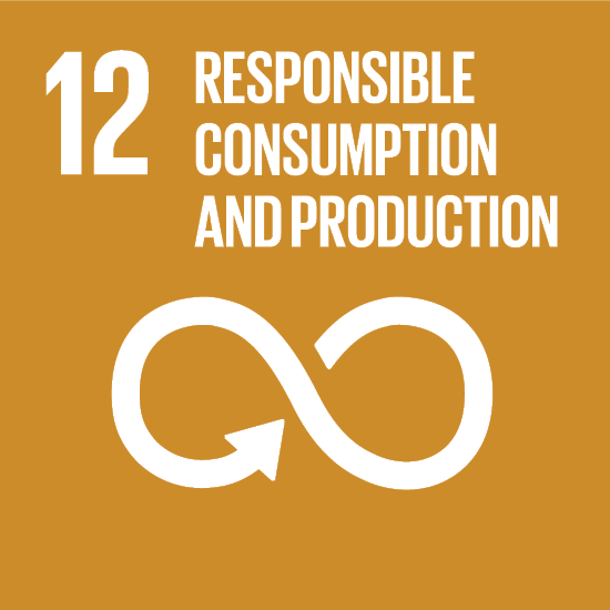 UNITED NATIONS SUSTAINABLE DEVELOPMENT GOALS (SDG)