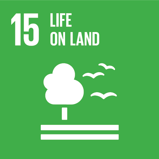 UNITED NATIONS SUSTAINABLE DEVELOPMENT GOALS (SDG)